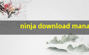 ninja download manager